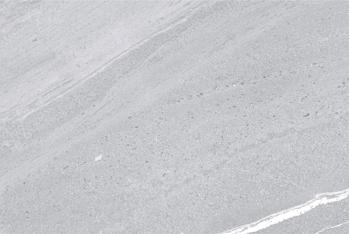 Dunstone Grey Porcelain